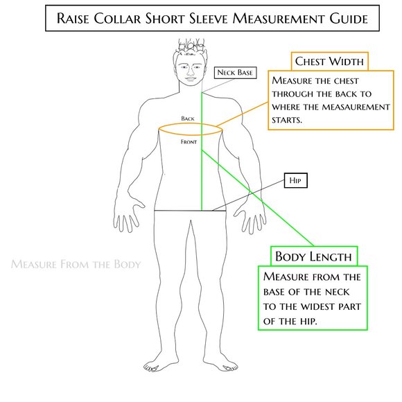 Raise Collar Short Sleeve - Picture 5 of 6